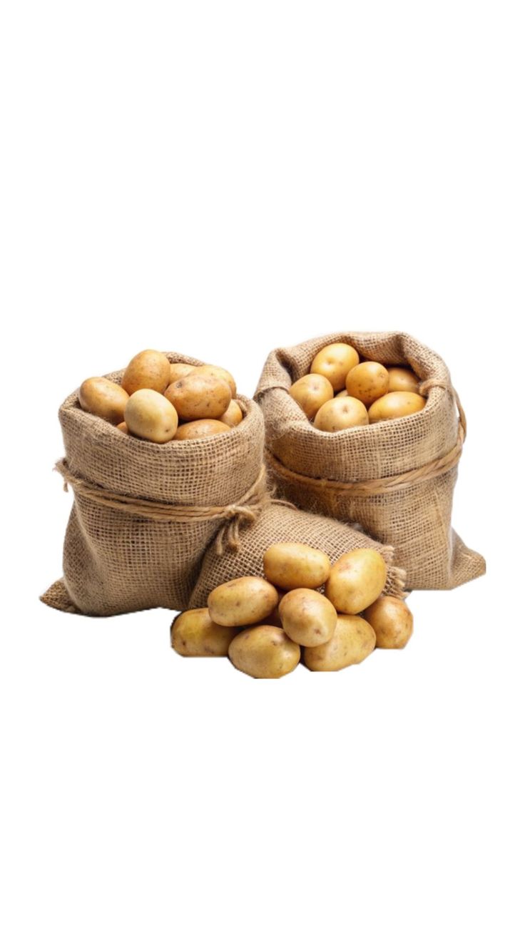 Potato