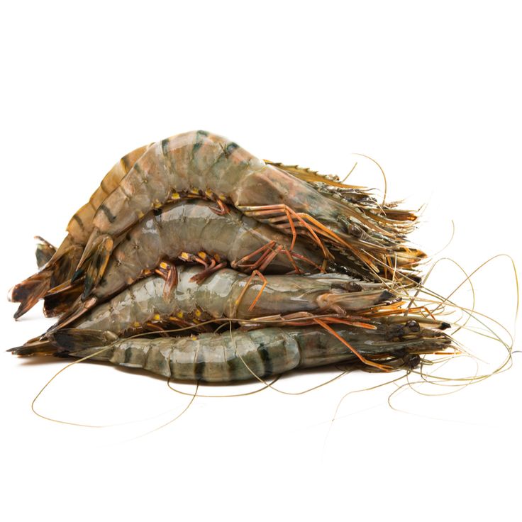 Fresh Tiger Prawns